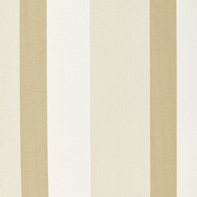 CLARKE AND CLARKE SHEER TEXTURE GOLD,WHITE,   - F1628/02.CAC.0