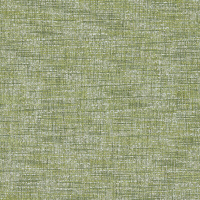 CLARKE AND CLARKE  TEXTURE CHARTREUSE,WHITE,GREEN   - F1642/04.CAC.0