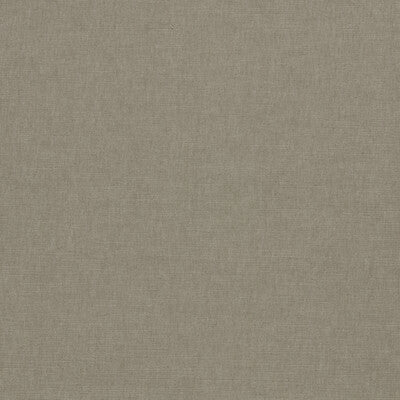 CLARKE AND CLARKE  SOLID TAUPE,WHITE,   - F1707/01.CAC.0