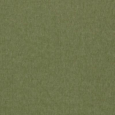 CLARKE AND CLARKE  SOLID OLIVE GREEN,WHITE,   - F1707/19.CAC.0