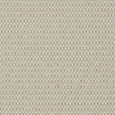 CLARKE AND CLARKE CHENILLE SMALL SCALE TAUPE,LIGHT GREY,IVORY   - F1721/03.CAC.0