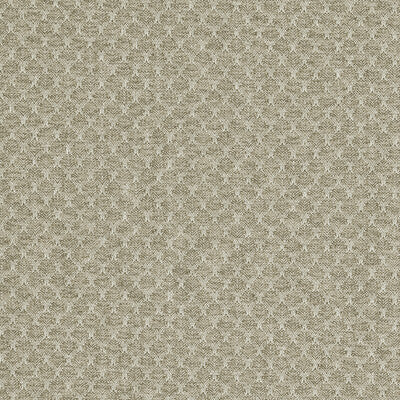 CLARKE AND CLARKE  TEXTURE BEIGE,TAUPE,WHITE   - F1724/03.CAC.0