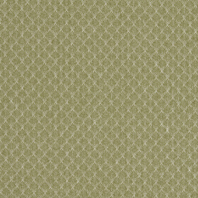 CLARKE AND CLARKE  TEXTURE CELERY,BEIGE,   - F1724/04.CAC.0