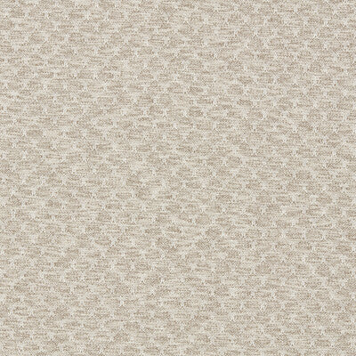 CLARKE AND CLARKE  TEXTURE TAUPE,BEIGE,WHITE   - F1724/05.CAC.0