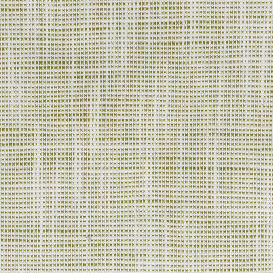 STOUT TEXTILES  UPHOLSTERY,TEXTURE TRADITIONAL, TEXTURE APPLE,SEEDLING,SPRING   - FAME-3
