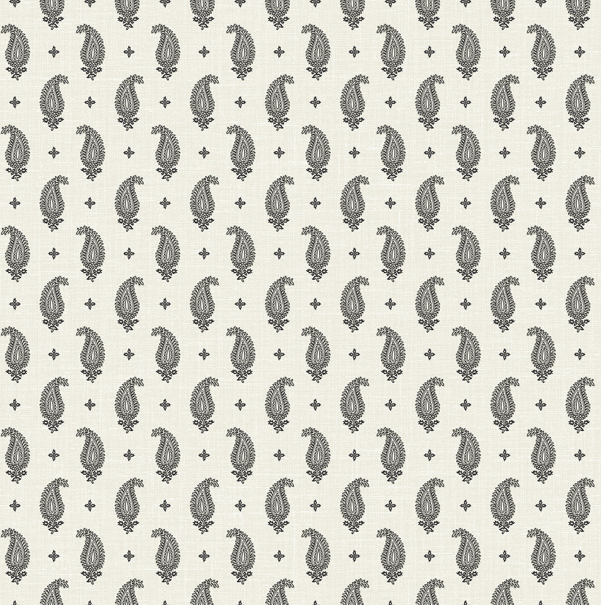 Seabrook Designs French Country Maia Paisley Botanical Country Black Matte Sidewall - FC62400