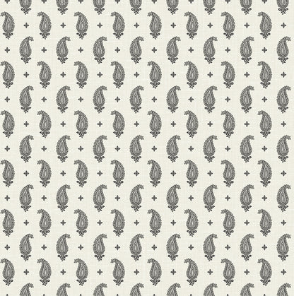 Seabrook Designs French Country Maia Paisley Botanical Country Black Matte  - FC62400