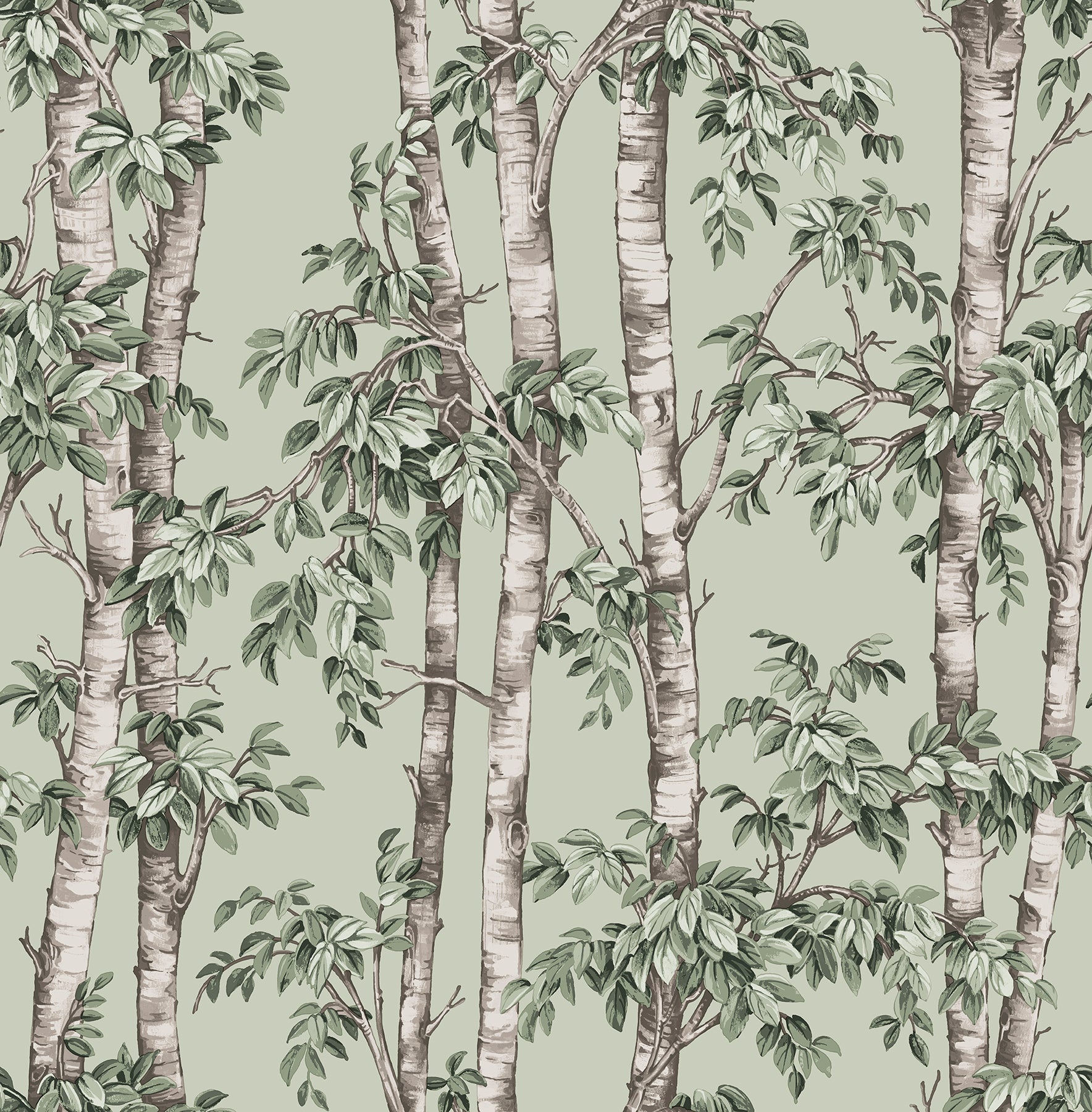 Botanical wallpaper featuring slender birch trees with green leaves on a pale sage background.