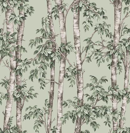 Botanical wallpaper featuring slender birch trees with green leaves on a pale sage background.
