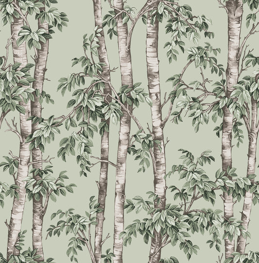 York Wallcoverings Fine Decor Bastian Green Trees Wallpaper Botanical Modern Green  Wallpaper - FD43341
