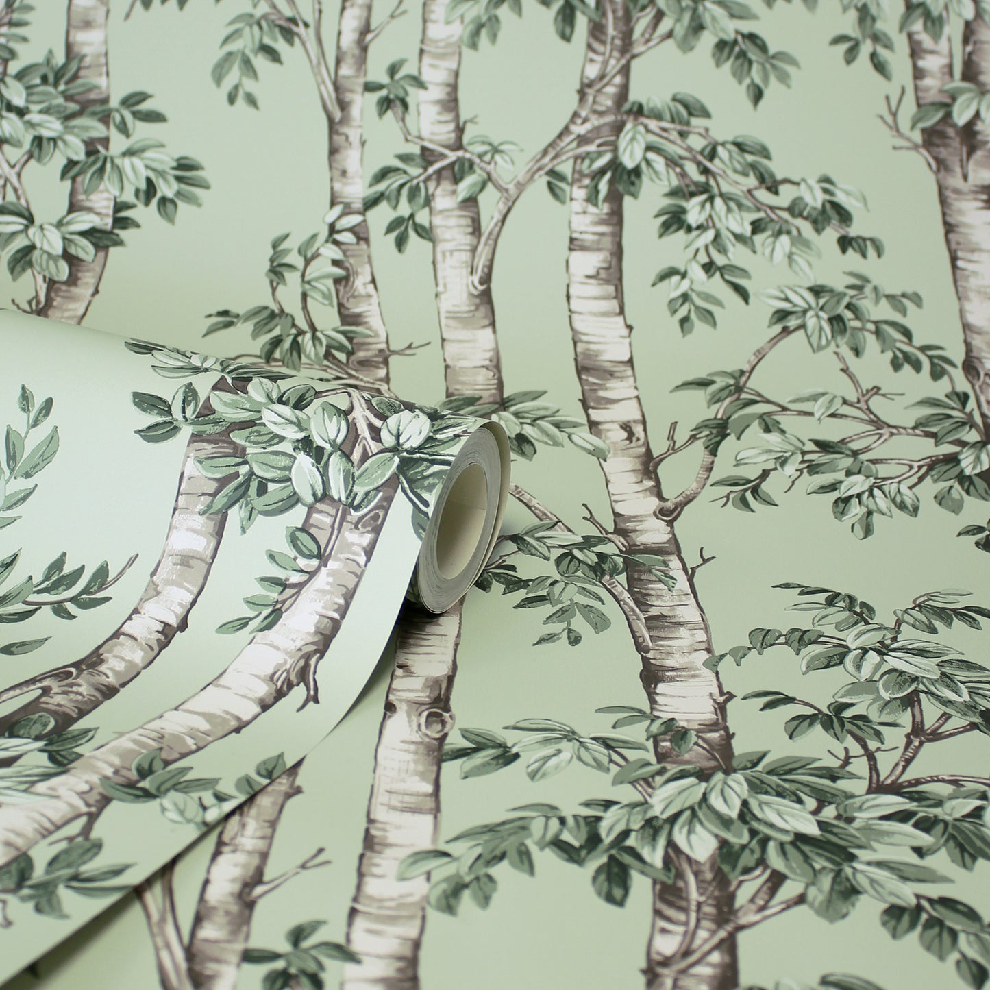 Mint green botanical wallpaper with birch tree trunks and dense foliage, shown as a rolled panel.