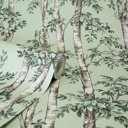 Mint green botanical wallpaper with birch tree trunks and dense foliage, shown as a rolled panel.