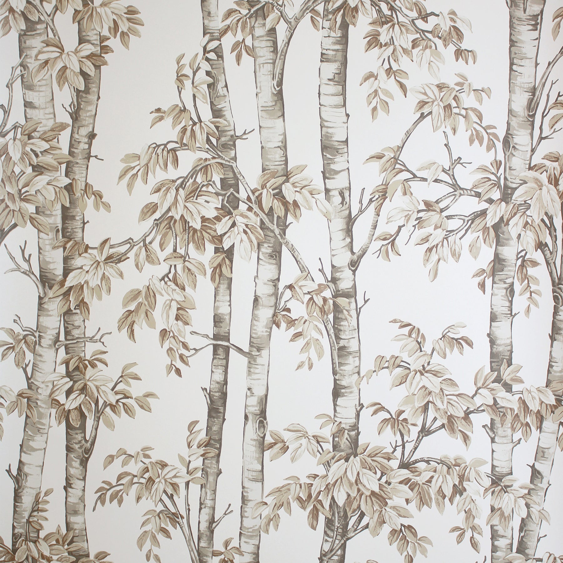 Neutral beige birch tree wallpaper with tall trunks and delicate leaves on an off-white background.