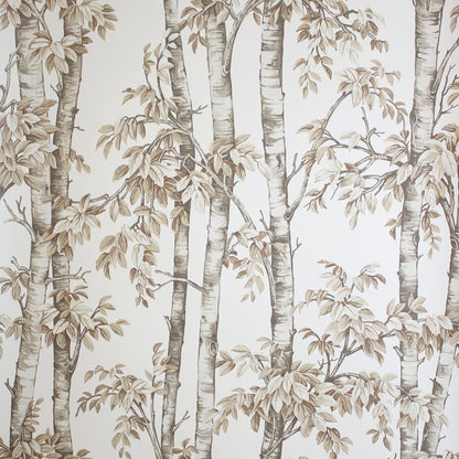 Neutral beige birch tree wallpaper with tall trunks and delicate leaves on an off-white background.