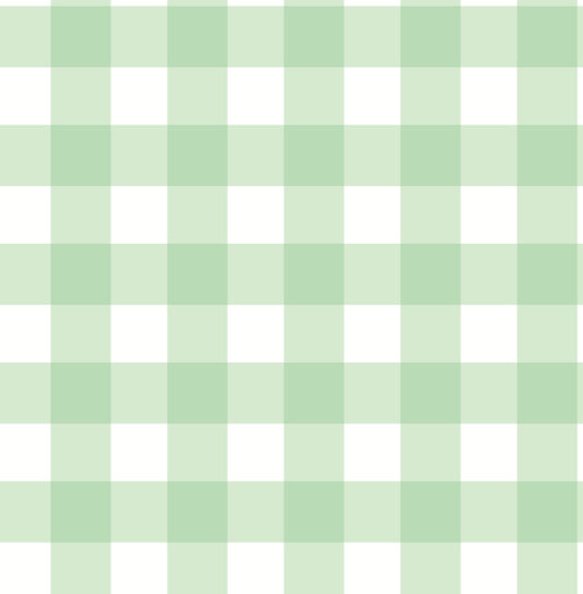 York Wallcoverings Fine Decor Patrice Light Green Gingham Wallpaper Graphics Farmhouse Light Green  Wallpaper - FD43393