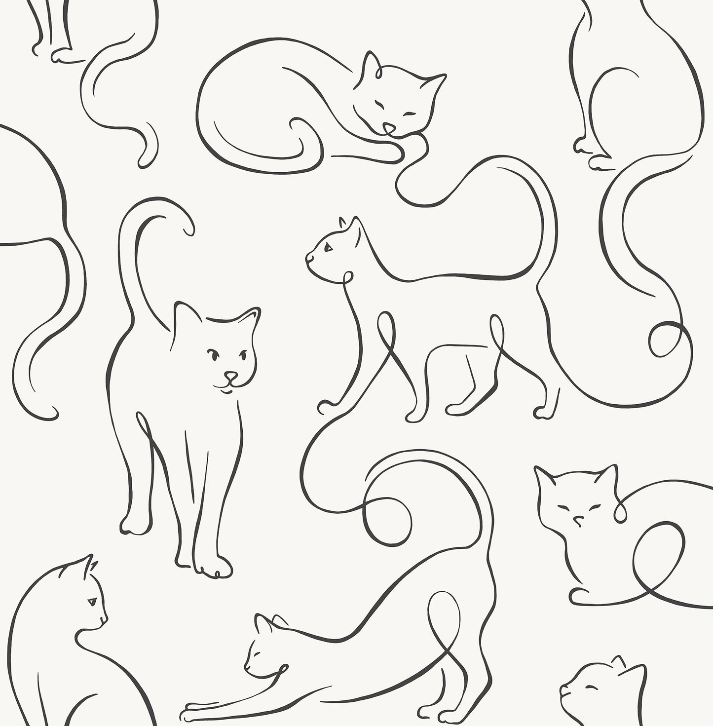 York Wallcoverings Fine Decor Clarice Black Cat Sketches Wallpaper Animals Modern Black  Wallpaper - FD43720
