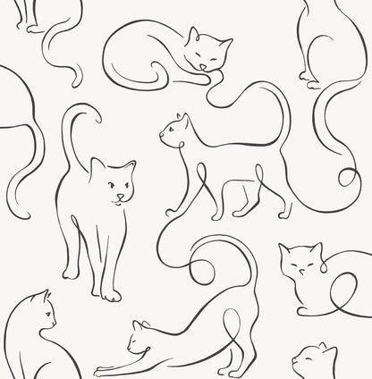 York Wallcoverings Fine Decor Clarice Black Cat Sketches Wallpaper Animals Modern Black  Wallpaper - FD43720