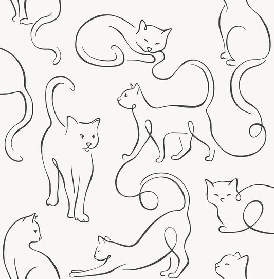 York Wallcoverings Fine Decor Clarice Black Cat Sketches Wallpaper Animals Modern Black  Wallpaper - FD43720
