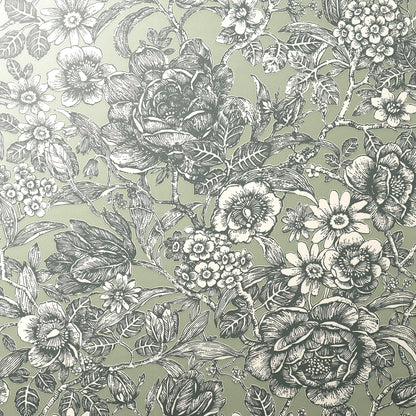 York Wallcoverings Fine Decor Hedgerow Green Floral Trails Wallpaper Botanical Traditional Green  Wallpaper - FD43777