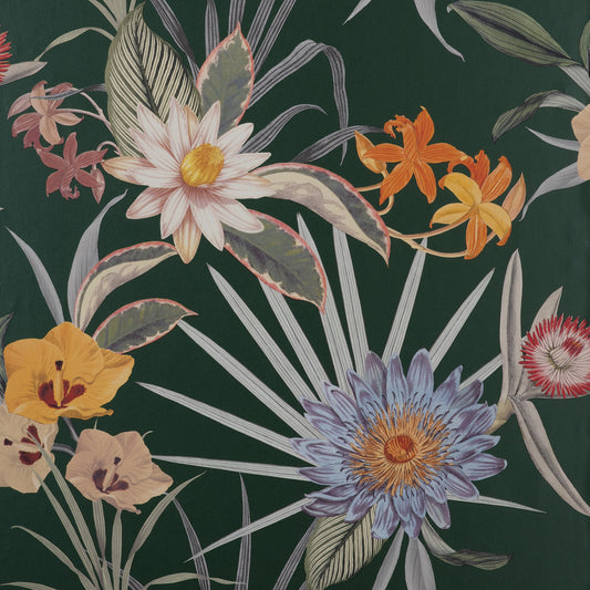 York Wallcoverings Fine Decor Calista Dark Green Tropical Floral Wallpaper Botanical Tropical Dark Green  Wallpaper - FD43784