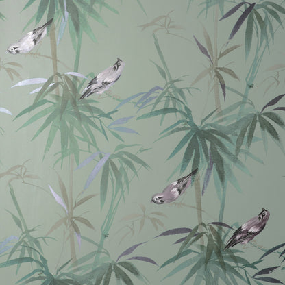 York Wallcoverings Fine Decor Zella Green Bamboo Wallpaper Botanical Kitchen & Bath Green  Wallpaper - FD43795