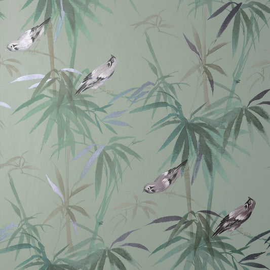 York Wallcoverings Fine Decor Zella Green Bamboo Wallpaper Botanical Kitchen & Bath Green  Wallpaper - FD43795