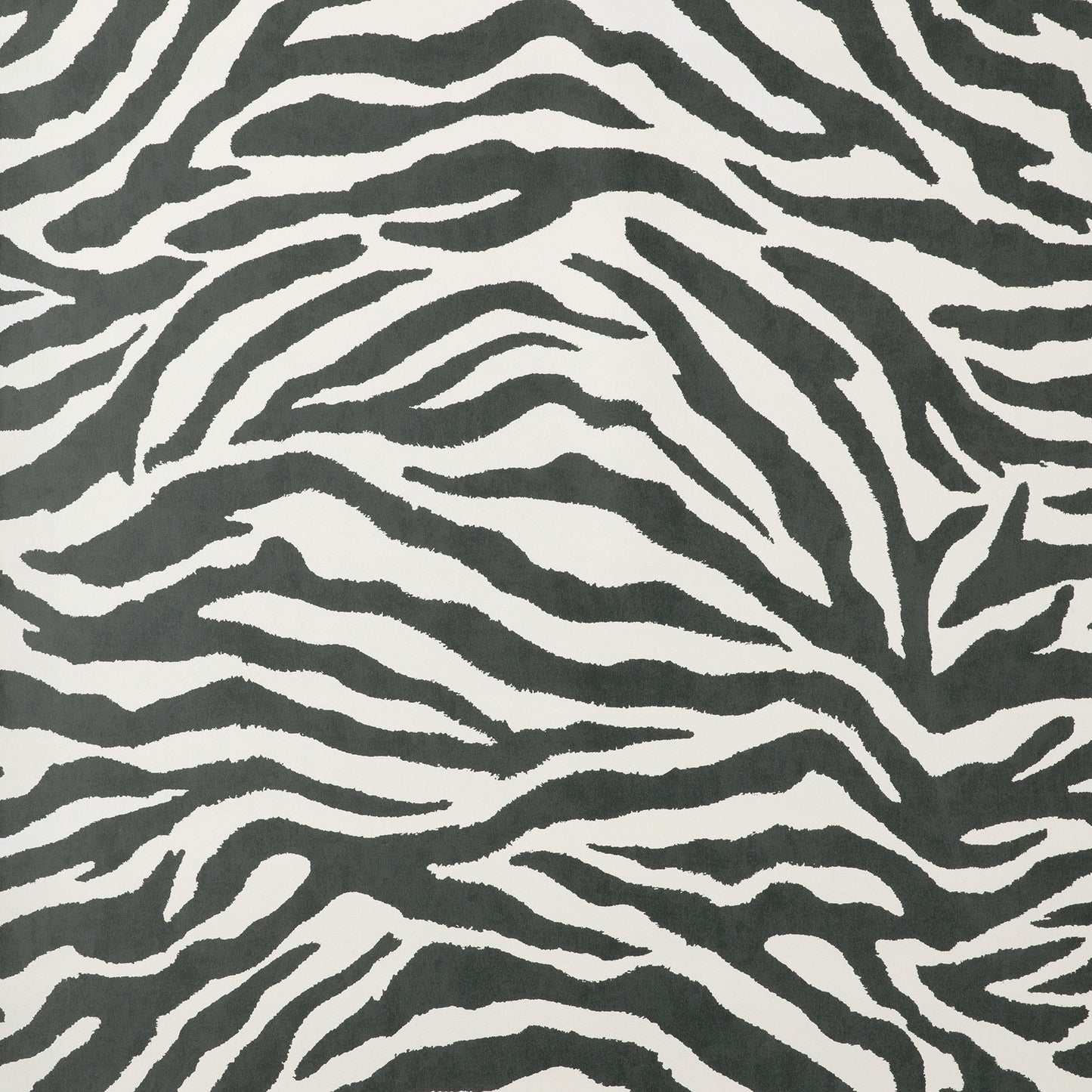 York Wallcoverings Fine Decor Shoshana Black Modern Zebra Wallpaper Animal Print Glam Black  Wallpaper - FD43801