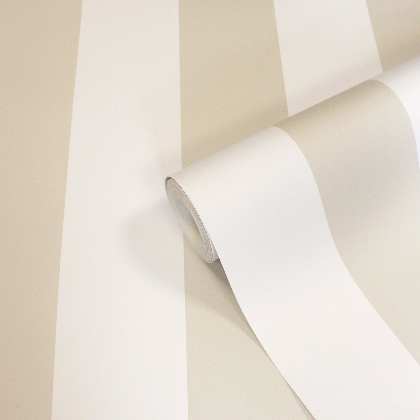 White wallpaper with vertical beige stripes, rolled up; smooth, modern wallcovering for interiors.