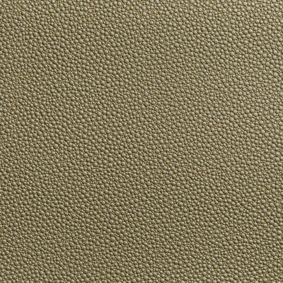 KRAVET CONTRACT VINYL/FAUX LEATHER ANIMAL SKINS BEIGE,BEIGE,BEIGE   - FETCH.16.0