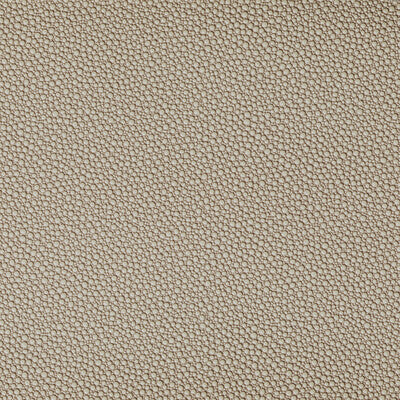 KRAVET CONTRACT VINYL/FAUX LEATHER ANIMAL SKINS BEIGE,BEIGE,BEIGE   - FETCH.1616.0