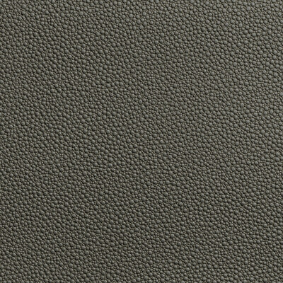 KRAVET CONTRACT VINYL/FAUX LEATHER ANIMAL SKINS TAUPE,TAUPE,GREY   - FETCH.21.0