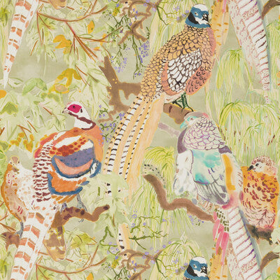 Mulberry Game Birds - Multi (FG085-Y101) Wallpaper