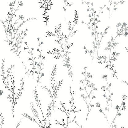 York Wallcoverings Black & White, III Wildflower Sprigs Black & White Wallpaper Bohemian Bohemian Black & White   - FH4026
