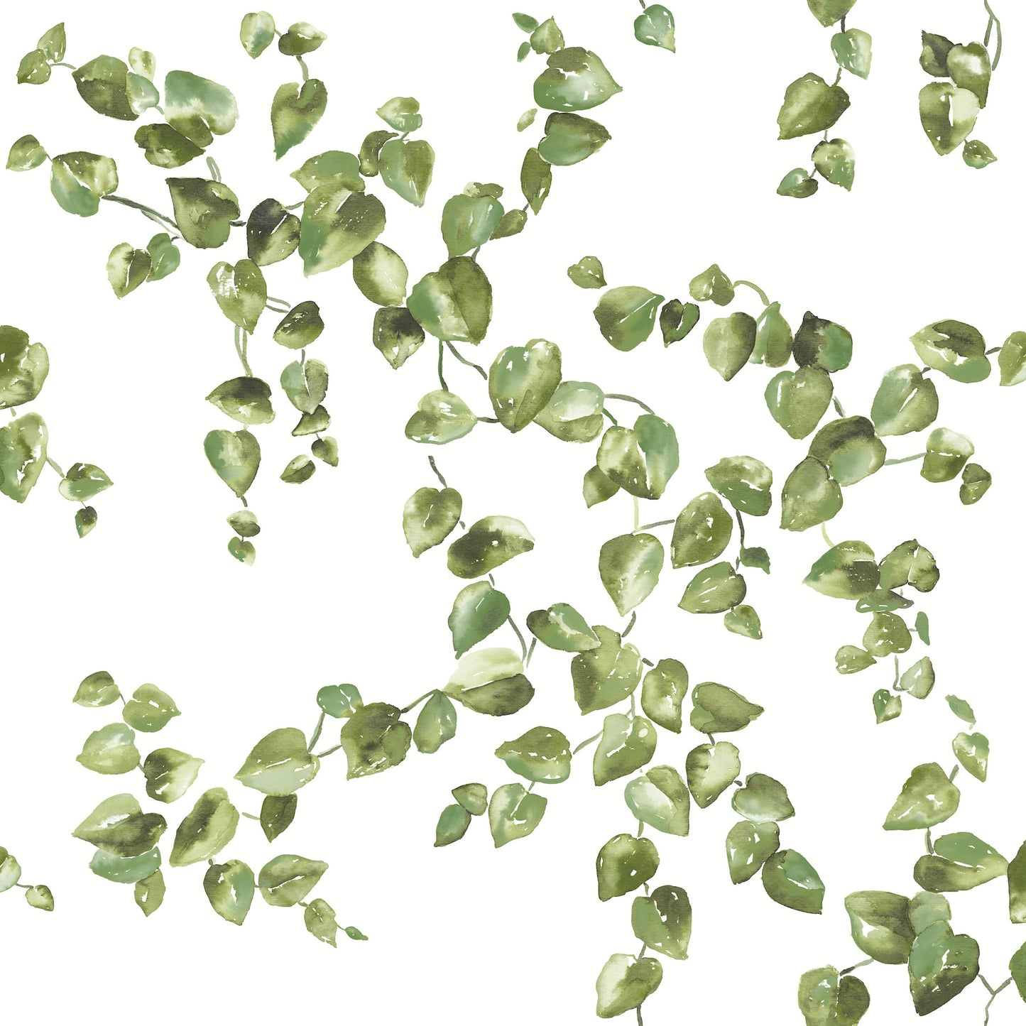 Green leafy pattern with small oval leaves on curling vines in sage-olive tones set against a white backdrop.
