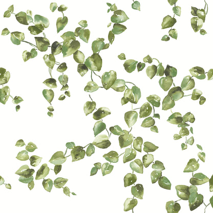 Green leafy pattern with small oval leaves on curling vines in sage-olive tones set against a white backdrop.