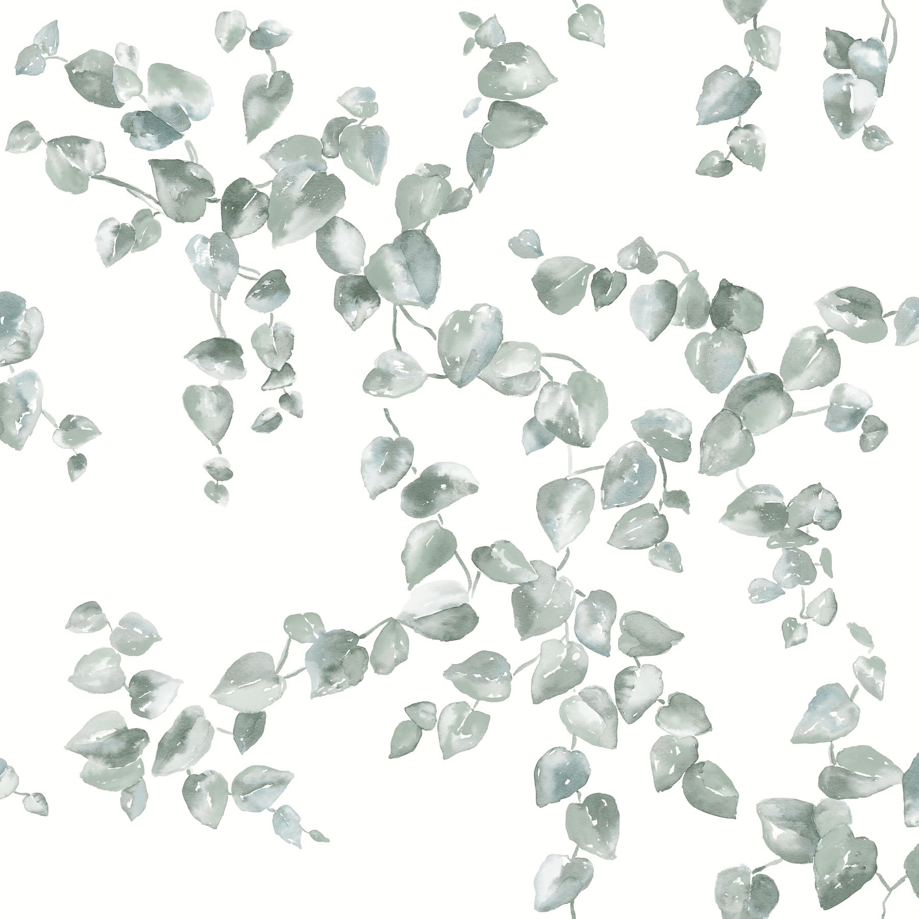 Watercolor creeping fig vine pattern in sage green on white, with delicate trailing stems