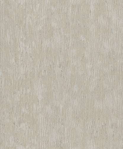 York Wallcoverings Formations Gilded Plume Warm Grey Wallpaper Modern Textures Beiges   - FM1003