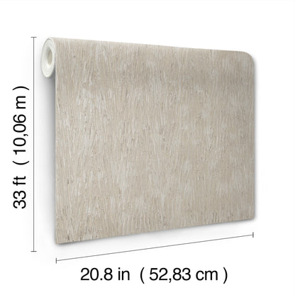 York Wallcoverings Formations Gilded Plume Warm Grey Wallpaper Modern Textures Beiges   - FM1003