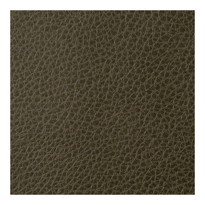 KRAVET CONTRACT VINYL/FAUX LEATHER ANIMAL SKINS GREEN,,GREEN   - FOOTHILL.33.0