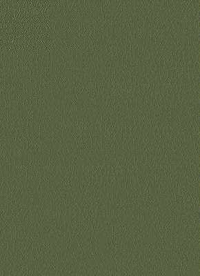 KRAVET DESIGN VINYL/FAUX LEATHER  GREEN,,   - FORTUNE.30.0