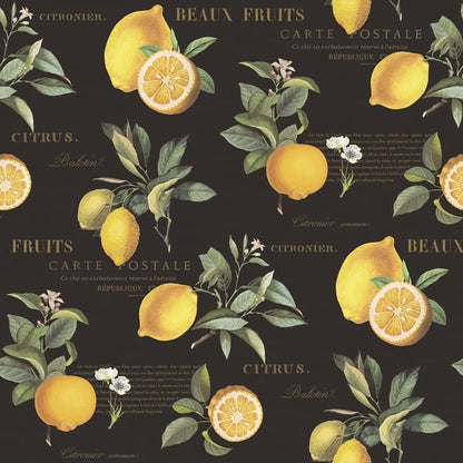 Galerie Wallcoverings Just Kitchens Citron Botanical Galerie Wallcoverings  Black   - G45411