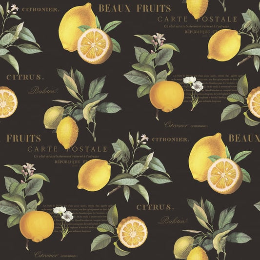 Galerie Wallcoverings Just Kitchens Citron Botanical Galerie Wallcoverings  Black   - G45411