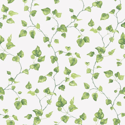 Galerie Wallcoverings Just Kitchens Just Ivy Galerie Wallcoverings  Green   - G45431