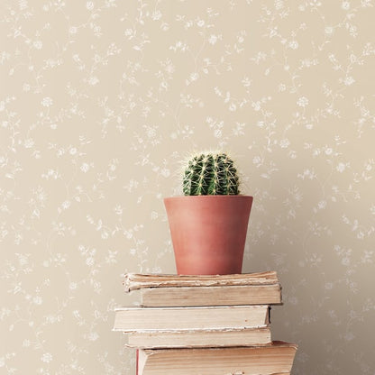 Green barrel cactus in a terracotta pot atop a stack of weathered books in front of cream floral wallpaper.