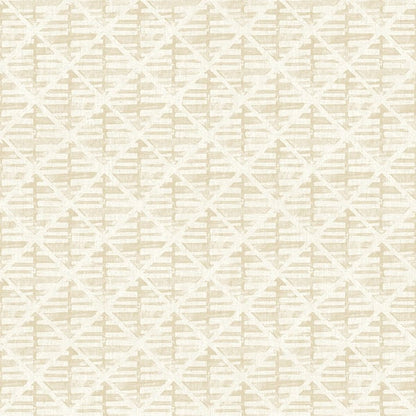 Beige wallcovering with a diagonal lattice and crosshatch motif; neutral, textured pattern.