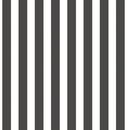 Galerie Wallcoverings Tiny Tots 2 Regency Stripe Galerie Wallcoverings  Black   - G78399