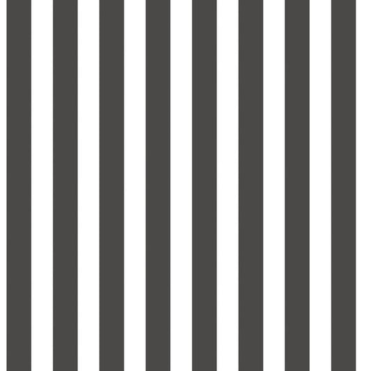 Galerie Wallcoverings Tiny Tots 2 Regency Stripe Galerie Wallcoverings  Black   - G78399