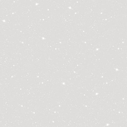 Galerie Wallcoverings Tiny Tots 2 Space Sidewall Galerie Wallcoverings  Silver Grey   - G78409