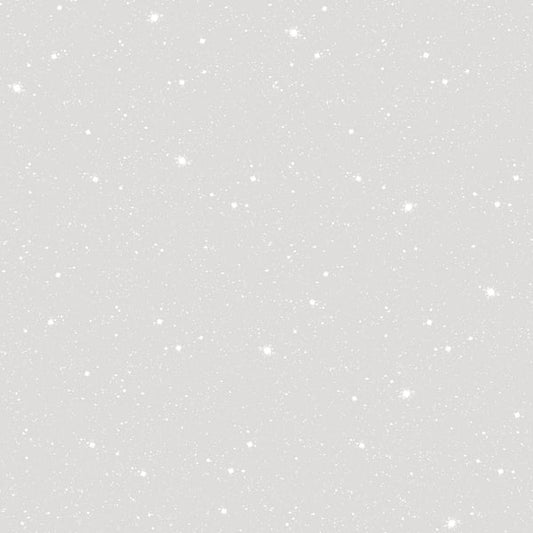 Galerie Wallcoverings Tiny Tots 2 Space Sidewall Galerie Wallcoverings  Silver Grey   - G78409