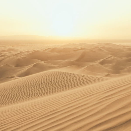 Galerie Wallcoverings Atmosphere MURAL Galerie Wallcoverings  Gold   - G78423